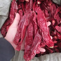 Pimientos Dulces Enteros Deshidratados / Pimientos Rojos Deshidratados / Sabor Dulce Sin Picante / Suministro Directo de Fábrica para la Industria Alimentaria