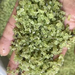 Vente en gros de copeaux de péridot naturel, gravier de cristal d'olivine verte concassée pour la fabrication de bijoux, remplissage de vases, guérison, Feng Shui, Chakra - Product Image 6