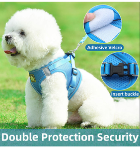 Harnais et laisse pour chien F11, pour la marche, les voyages, les aventures, anti-évasion, sportif, mignon, pour chaton, pour chien de grande et petite taille - Product Image 3