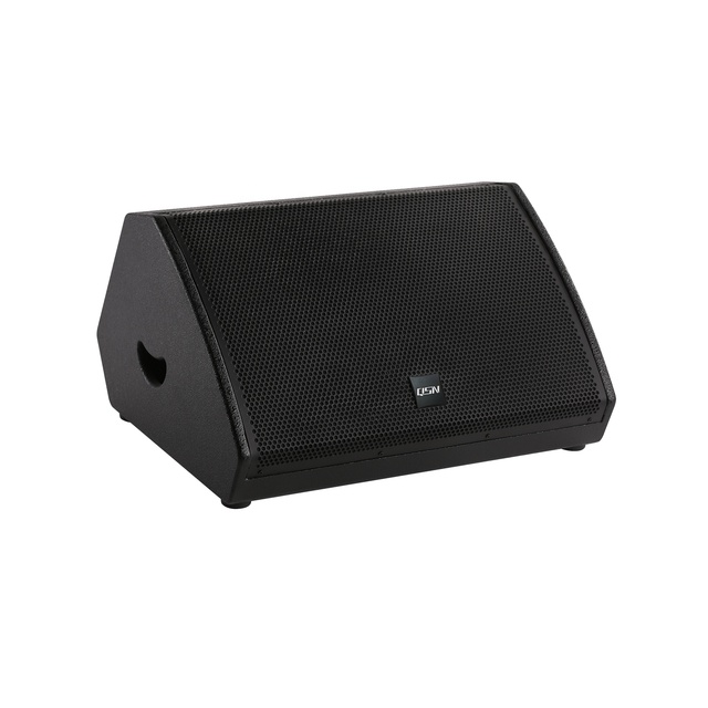 Active Passive 2 Way 15 Inch Stage Monitors Floor Speakers SN152M