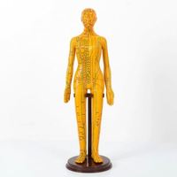 Modèle humain féminin jaune et blanc de 52 cm de hauteur avec points d'acupuncture anglais, en PVC souple, pour hôpital