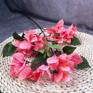 En gros Pas Cher Soie Artificielle <span class=keywords><strong>Bougainvillier</strong></span> Plante Fleur <span class=keywords><strong>Bougainvillier</strong></span> Blanc pour Arc - Product Image 2