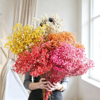 Offre Spéciale : Fleurs de Gypsophile Préservées, Bouquet Million Stars Séché, Fleur Naturelle Faite à la Main pour Mariage et Décoration Intérieure