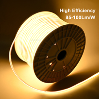 Tira de Luces LED COB COXO 220V 110V, Plug and Play, Sin Puntos Visibles, Impermeable IP65, Rollo de 100m 50m, Sin Controlador, 220V