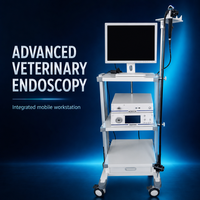 Système d'endoscopie vétérinaire modèle D en acier inoxydable de classe II pour gastroscopie animale, diagnostic des petits animaux, fourni directement par l'usine