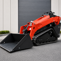 Mini-chargeuse compacte à prix d'usine, certifiée CE EPA Euro 5, avec godet standard