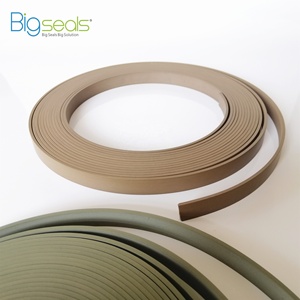 Thủy Lực Xi Lanh Con Dấu Băng Chống Mài Mòn Đồng + PTFE Hướng Dẫn Dải - Product Image 1