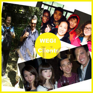 Styler Dys 2 in 1, Asciugacapelli e Piastra per Capelli con Logo OEM, Phon ad Aria Calda per Lisciare e Arricciare - Product Image 4