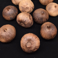 Ail noir frais en gros, ail noir en gousses individuelles, produit alimentaire en provenance de Chine