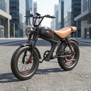 Bicicleta Eléctrica Ligera de Alta Velocidad con Motor Central de Litio de 1000w 48v 20ah, Modelo Fw-93, Disponible en Almacén en el Extranjero - Product Image 1
