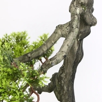 Plantes artificielles d'arbre de bonsaï de cyprès pour la décoration à la maison pour la remise des diplômes et les occasions d'Halloween