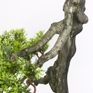 Plantes artificielles d'arbre de bonsaï de cyprès pour la décoration à la maison pour la remise des diplômes et les occasions d'Halloween - Product Image 2