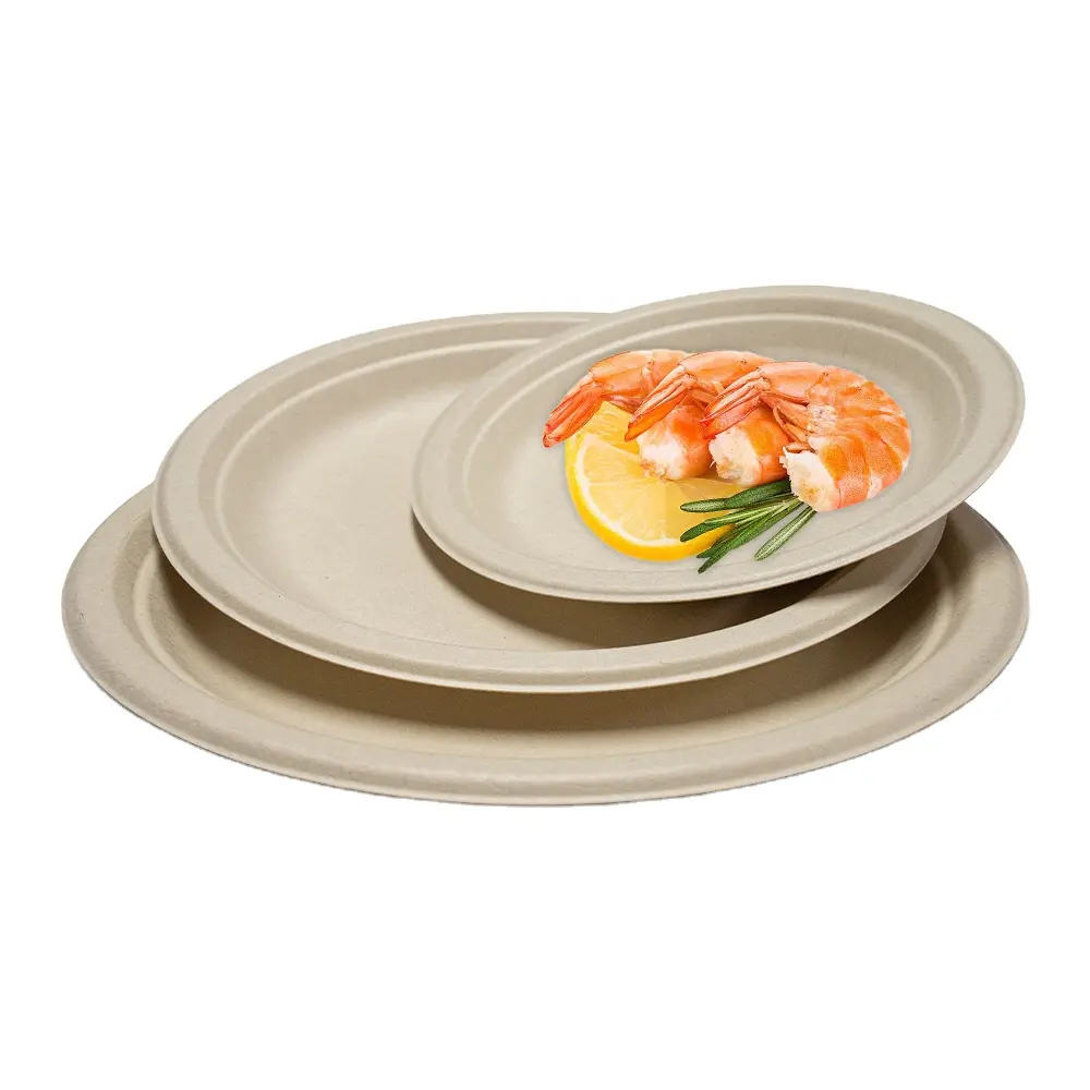 10 인치 친환경 생분해성 사탕수수 Bagasse 일회용 1 차 플레이트 BPA-무료 및 맞춤형 파티