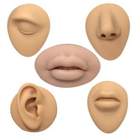 Profession elle wieder verwendbare Silikon-Übungs kits Gefälschte Ohren Nase Nabel Modelle Tattoo Artist Piercing-Werkzeuge zum Dekorieren von Kuchen