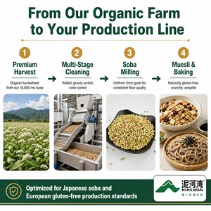 Graines de <span class=keywords><strong>sarrasin</strong></span> chinoises sucrées brutes WENSHA <span class=keywords><strong>SARRASIN</strong></span> - Product Image 4
