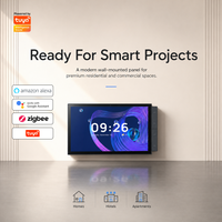 Panneau tactile intelligent de 10 pouces pour maison connectée, passerelle Tuya Zigbee/WiFi, écran OLED, commande vocale Alexa pour hôtel/appartement/villa
