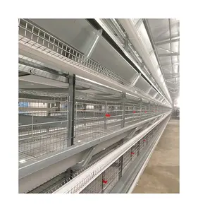 H Type Galvanized Laying Hens Layer Battery Cages with Manure Tray for Farms in Ghana