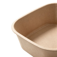 Litière pour chat biodégradable écologique, jetable, anti-fuite, pour hôtel pour chats, refuges, maisons multi-chats