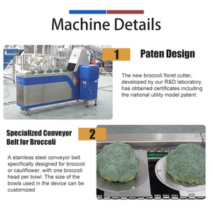 Machine de découpe automatique brevetée pour choux-fleurs et brocolis, capacité 2000-5000 kg/h, pour la découpe en fleurs de brocoli - Product Image 2