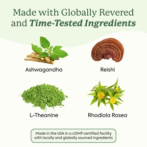 Gomitas de Hongos 4 en 1 de Fórmula Nueva de Marca OEM con Ashwagandha y Reishi, Naturales, Sin Azúcar, para la Concentración y el Estado de Ánimo en Adultos - Product Image 4
