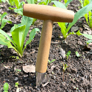 Perforador de jardín en forma de T, herramienta manual de plantación con mango de madera cromado para verduras y semillas - Product Image 1
