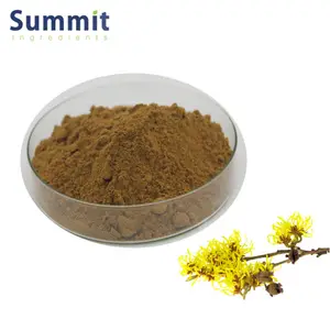 High Quality 4:1 Witch Hazel Extract Powder Witch Hazel Leaf Extract Witch Hazel Extract