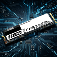 قرص صلب داخلي PUSKILL NVMe M.2 PCIe SSD بسعة 250 جيجابايت إلى 2 تيرابايت عالي السرعة بتقنية 3D NAND للألعاب وأجهزة الكمبيوتر المحمولة