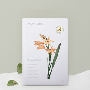 Bán buôn Macaron kẹo màu A5 kinh doanh kế hoạch máy tính xách tay với <span class=keywords><strong>PP</strong></span> da Bìa may ràng buộc làm việc chương trình nghị sự và ngân sách chất kết dính - Product Image 3