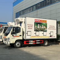 Camion de transport de poussins d'un jour Foton - Système de contrôle précis de la température et de ventilation