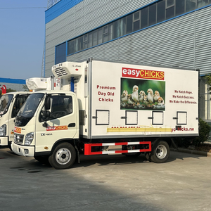 Camión Refrigerado Foton de 5 Toneladas para Transporte de Pollos, Nuevo, en Venta, con Combustible Diésel, para Pollitos de un Día - Product Image 5
