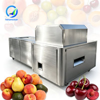 OCEAN Elektrische Rotatie Fruit- en Olijfpitmachine, geschikt voor kersen, hawthorn, dadels, abrikozen en pruimen.