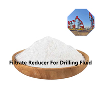 Réducteur de perte de filtrat de fluide de forage OEM Polyacrylamide Pam Agent réducteur de polymère de ciment de puits de pétrole pour le fluide d'achèvement de forage