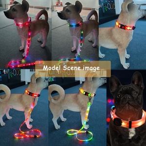 ペット猫調整可能USB充電式発光リードロープライトアップLED犬用カラーリーシュ - Product Image 6