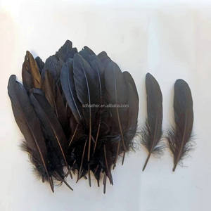 Precio al por mayor, plumas de ganso blancas y negras de 6-8 pulgadas para bádminton, Ala de Ángel, artesanía, atrapasueños, decoración, disfraz de Carnaval - Product Image 2