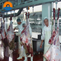 Proyecto Integral de Matadero Automatizado para Ovejas y Cabras, Planta de Procesamiento de Sacrificio, Solución Llave en Mano, Certificación CE