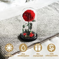 Trois roses réelles préservées dans un dôme en verre, stabilisées, éternelles, durables, fleurs préservées, cadeau romantique