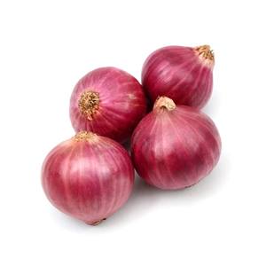 Fresh shallot onion price