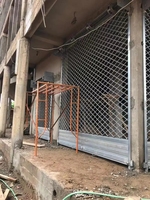Porte de volet roulant en treillis métallique galvanisé de sécurité de bonne qualité pour le marché