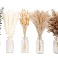 Bunga Kering Campuran Alami MOQ Rendah Pampas White Reed Bunny Tail Eucalyptus Terawetkan 5 Jenis Dekorasi Rumah Boho Dapat Digunakan Kembali