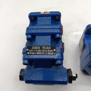 Pompe hydraulique à double engrenage interne ZHENYUAN GPA1 GPA2 GPA3 GPA2-6-6-EK1/2 GPA2-10-10-E GPA1-4-4-EK1/2 - Product Image 4
