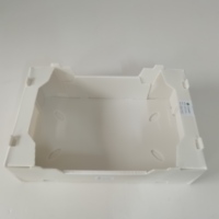Caisse en plastique alvéolée de 3 mm pour brocoli, pliable, empilable, recyclable, étanche, de qualité alimentaire, pour légumes et riz