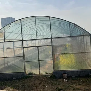 Invernaderos agrícolas y túnel agrícola Invernadero película plástica Cobertizo de cultivo Esqueleto tomate invernadero para la venta