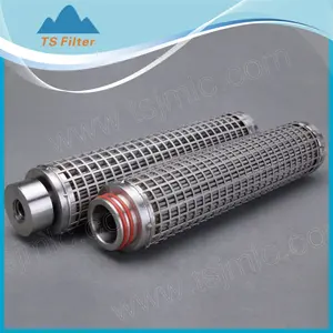 High Quality Cartridge Filter TS Filter High Quality Washable And Reusable 5 Micro 316L Stainless Steel Mesh Pleated Filter Cartridge For Water Filtration