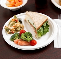 Assiettes jetables compostables de 10 pouces en bagasse de canne à sucre, écologiques, pour camping, fêtes et traiteur
