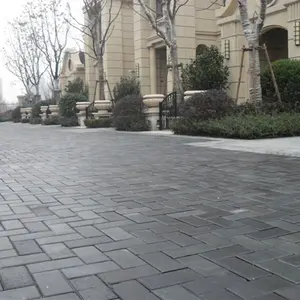 China Outdoor Mixed Colored Granite Pavers, Garden and Driveway Pavings