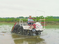 Nouvelle machine agricole de qualité, transplanteur de riz à grande vitesse à 6 rangs, semoir avec moteur
