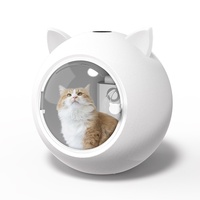 Séchoir Électrique Intelligent pour Chiens et Chats, Entièrement Automatique, pour Usage Domestique, Boîte de Séchage à Jet d'Eau, Excellent Rapport Qualité-Prix