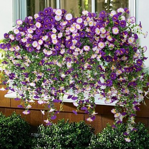 Vignes artificielles de volubilis suspendues au mur, en plastique réaliste, pour décorations de mariage en extérieur - Product Image 2