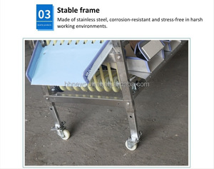 Machine de classement automatique de taille de coquille de fruits de mer machine de tri de taille d'escargot frais machine de niveleuse d'orbite d'escargot de rivière - Product Image 5