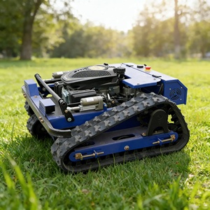 Produits de fabricant <span class=keywords><strong>professionnel</strong></span>, prix chinois, tondeuse robot à rouleaux RC, coupe-herbe, robot à essence, télécommandé, autopropulsé - Product Image 4